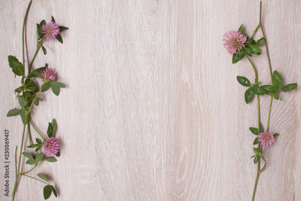 Clover on ф wooden background Clover on ф wooden background