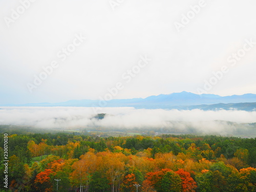 秋の富良野 雲海の風景