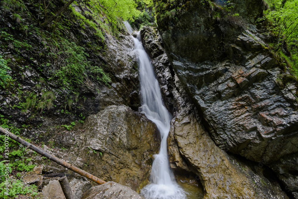 Obraz premium Hell Gorge (soteska Pekel) is a 1.5-kilometre gorge in Slovenia. The creek has many erosion features such as pools, rapids, and waterfalls, of which five are distinct as they plunge from 20 to 5 m.