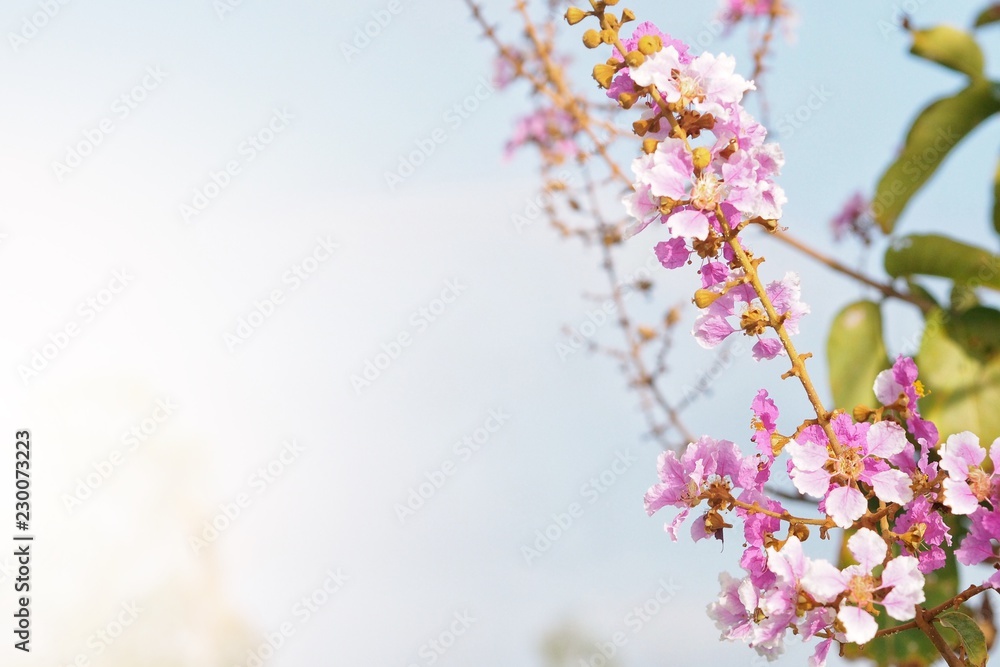 Blurred art artificial background of bright colorful flower on branch against light blue sky with copy space Blurred art artificial background of bright colorful flower on branch against light blue sky with copy space