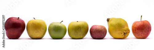 panoramic composition with seven different types of apples photo