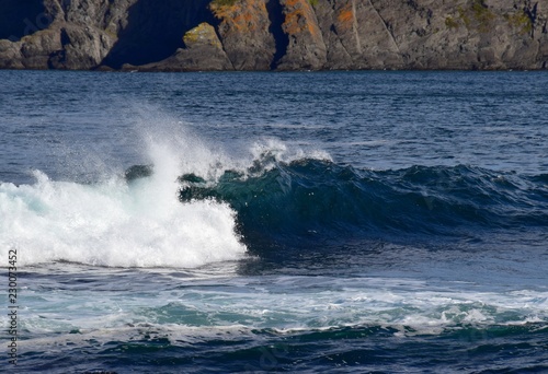 wave building up to a rip curl on blue ocean surface