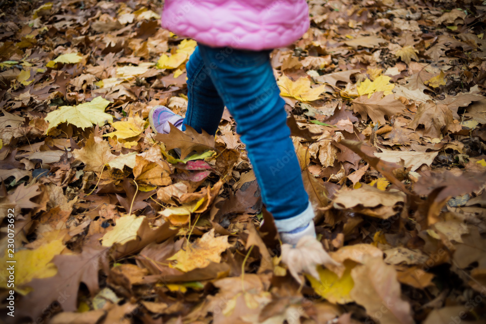 Fototapeta premium Child in the autumn park