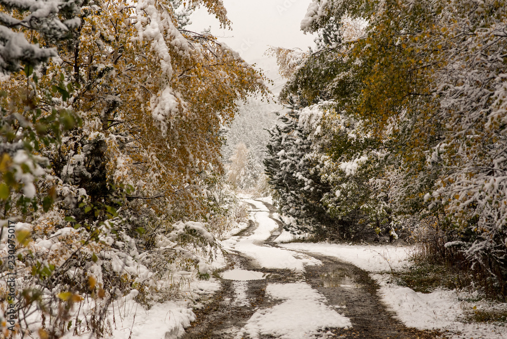 Beautiful path in the first autumn snow in Bordes de Envalira, Canillo, Andorra