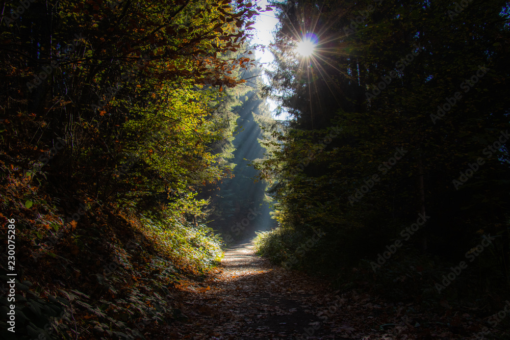 Obraz premium Herbst