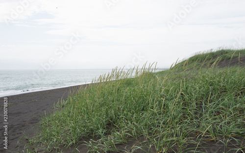 Einsame Dünenlandschaft im Süden Islands photo