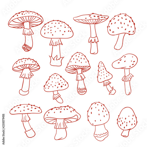 Set of poisonous mushroom fly agarics. Doodle illustration. Line drawing