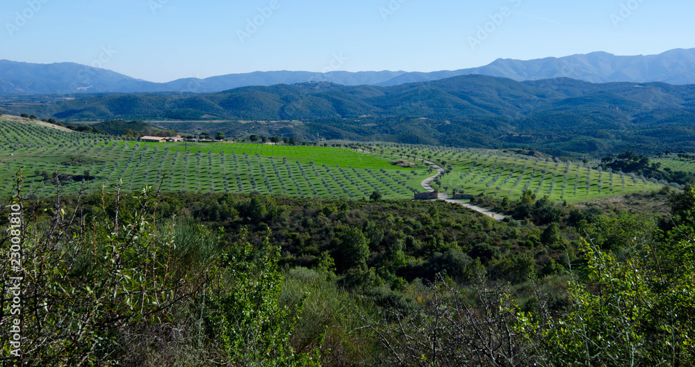 Landschaft bei Castenou in Okzitanien in Frankreich
