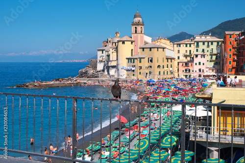 Camogli nella costiera ligure in estate sulla spiaggia photo