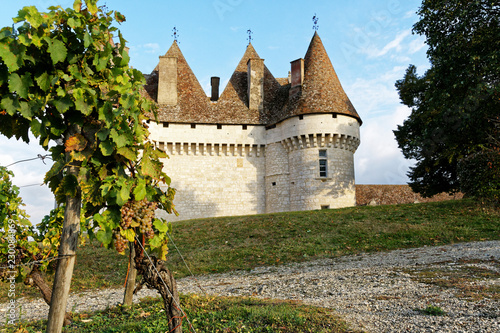 Obraz na płótnie Vignoble château
