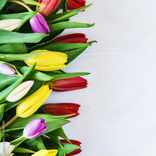 Floral background, greeting card, harvesting, mocap for greetings for mother's day, international women's day: multi-colored tulips on a light background, copyspace for your text