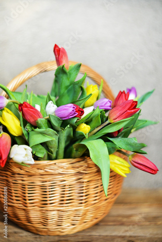 Floral background, greeting card, harvesting, mocap for greetings for mother's day, international women's day: bouquet of colorful tulips on natural wooden background, copyspace