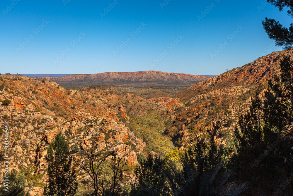 The Standley Chasm canyon covered by vegetation and the MacDonnell Ranges in distance from Larapinta Hill, Northern Territory, Australia