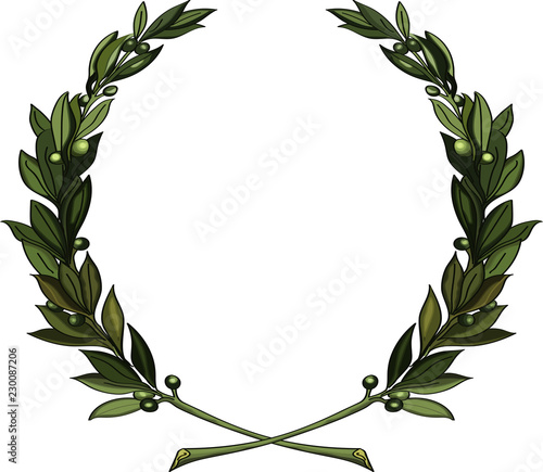 Olive branches