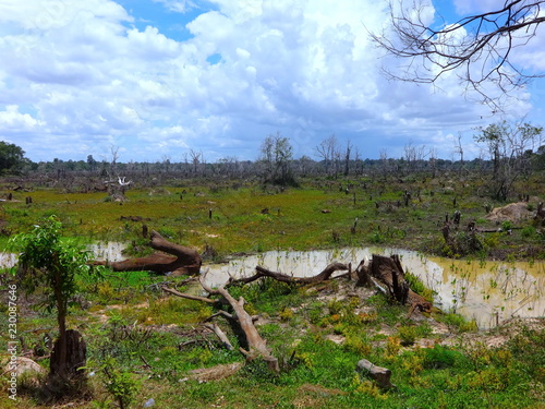 minefield in cambodia