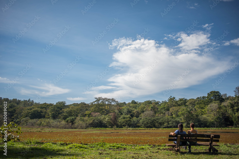 Obraz premium A view from a brazilian lake. This photograph was taken in Rio Claro, São Paulo, Brazil in 2018.