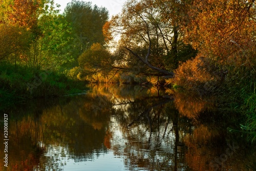 Tranquil autumn river with colorful reflections