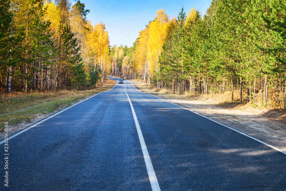 Fototapeta premium Road, highway in autumn forest