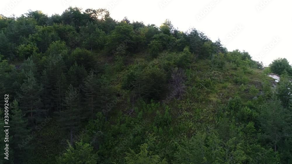 aerial drone flying over pine tree forest in wild nature mountains early morning sunrise in slow motion aerial drone flying over pine tree forest in wild nature mountains early morning sunrise in slow motion