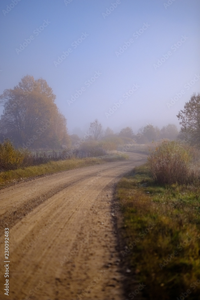 country gravel road in autumn colors in fall colors
