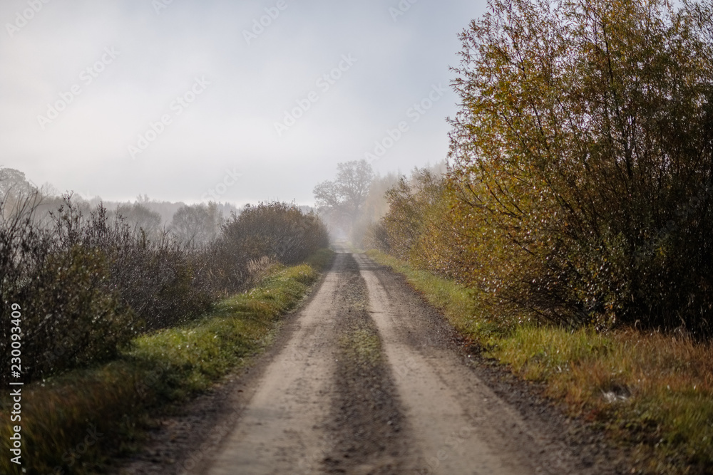 country gravel road in autumn colors in fall colors