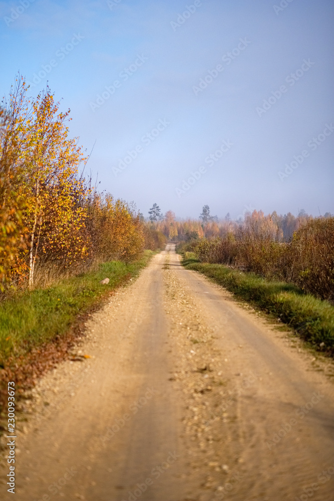 Fototapeta premium country gravel road in autumn colors in fall colors