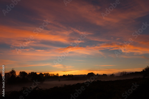 Sunrise in Field