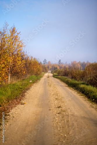 country gravel road in autumn colors in fall colors