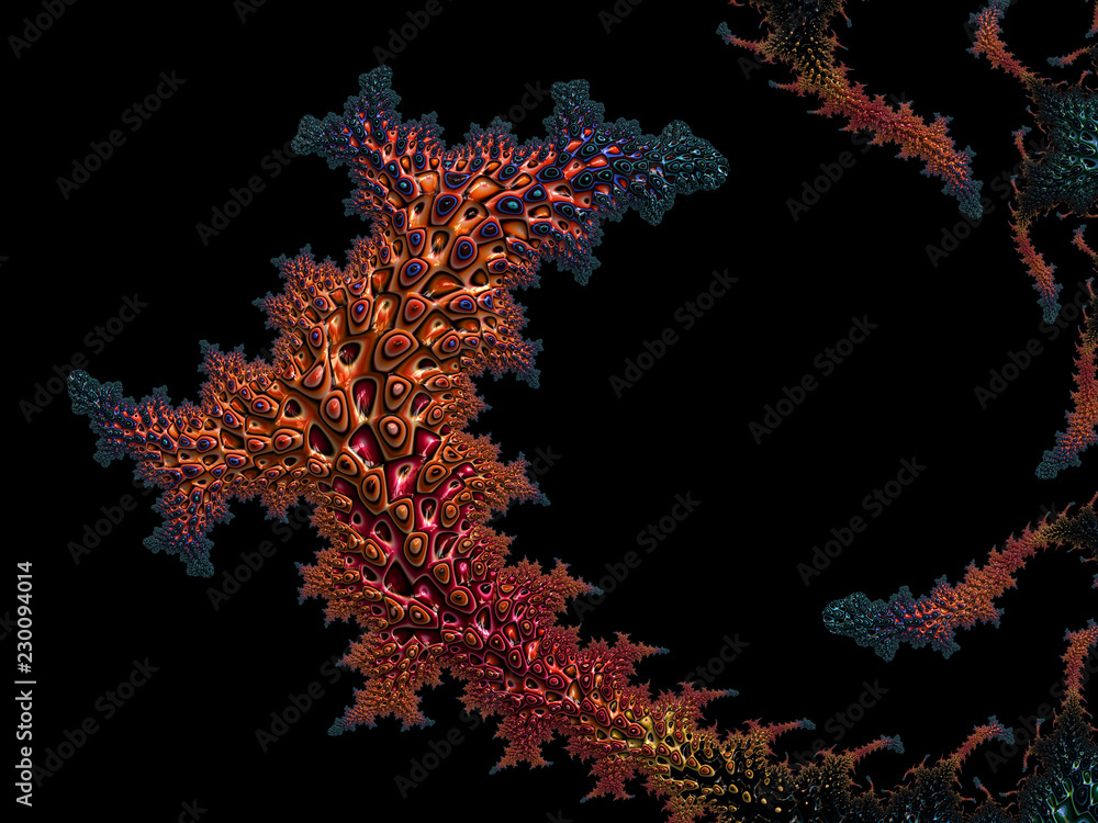 Fototapeta premium Crocodile