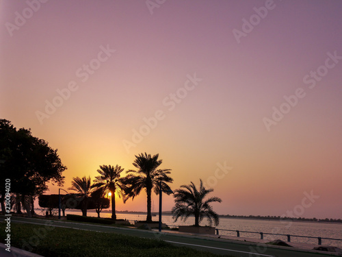 Beautiful sunset silhouette photo of palm trees - orange and purple sky © Makaty