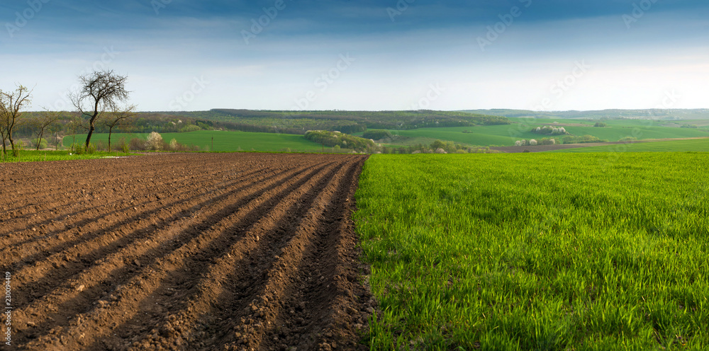 Landscape of plowed garden in spring time. agricultural scenic view with garden-beds. Plowing the ground before sowing.