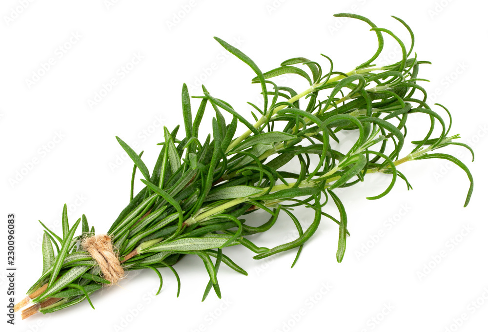 Fototapeta premium green fresh rosemary isolated on white background