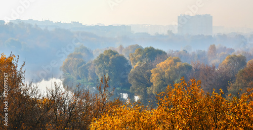 Autumn morning landscape with a tonal perspective