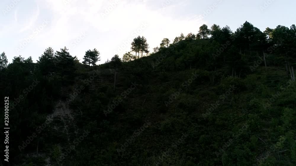 aerial drone flying over pine tree forest in wild nature mountains early morning sunrise in slow motion aerial drone flying over pine tree forest in wild nature mountains early morning sunrise in slow motion