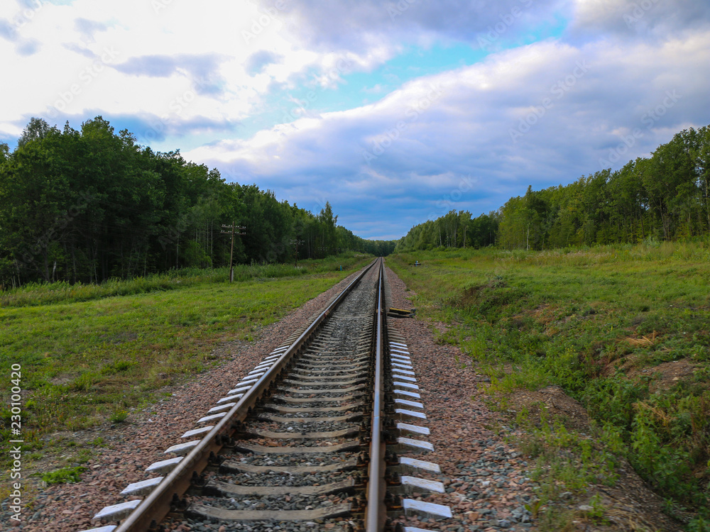 Railway. railway tracks among green forest and grass. empty rails without train and people.