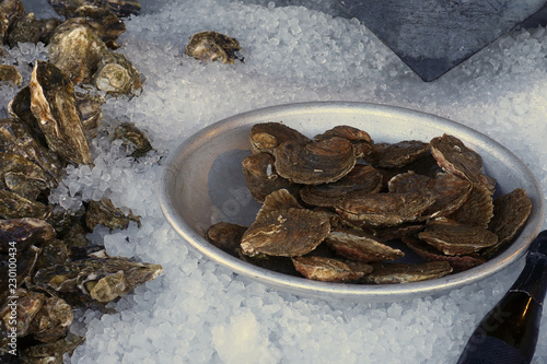 Oysters being stored inIce for sale in Whitstable