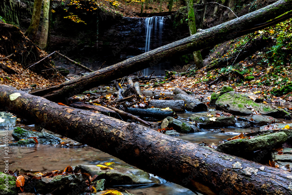 Waterfall in the forest