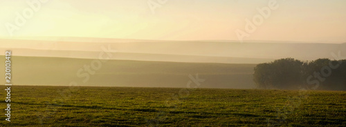 a thin line of green field leading into four rows of misty rolling hills on an orange misty morning two bushes are silhoutted covered in mist on the right on Firle Beacon  East Sussex  United Kingdom