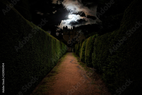 Scottish castle photographed by the park in the moonlight photo