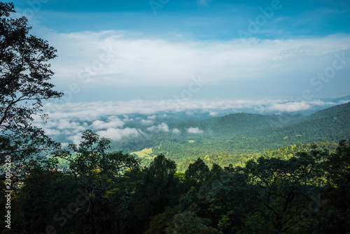 View From The Top Of The Mountain