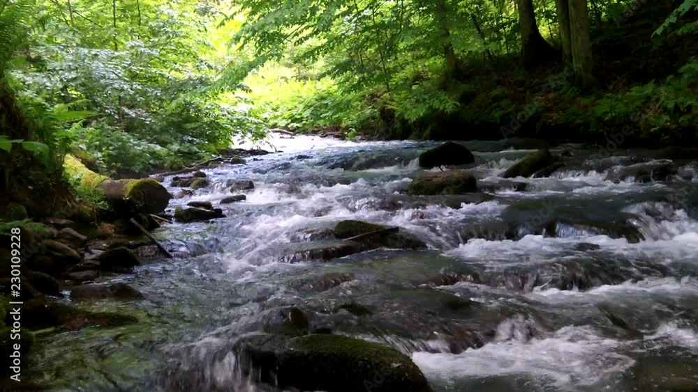 Stream in the Carpathian mountains Stream in the Carpathian mountains