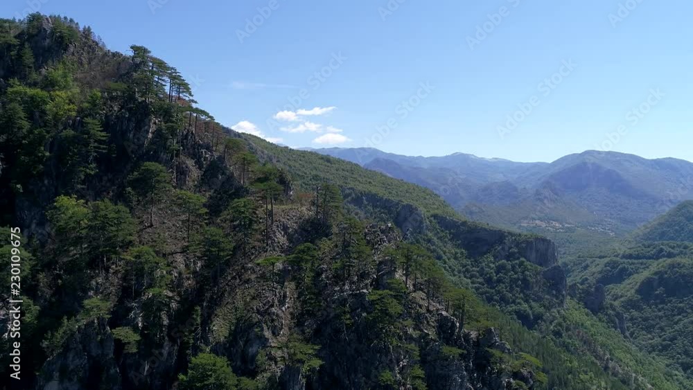 aerial drone flying over pine tree forest in wild nature mountains early morning sunrise in slow motion aerial drone flying over pine tree forest in wild nature mountains early morning sunrise in slow motion