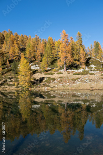 Reflections of autumn trees in the lake 