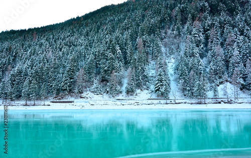 Photography the frozen turquoise lake and the snow-covered forest