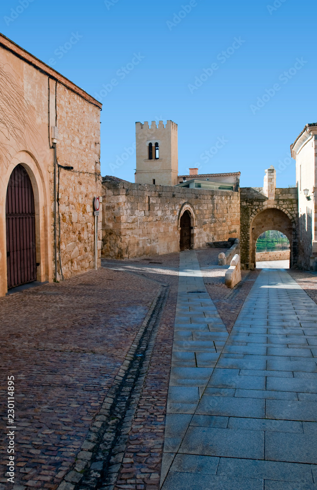 Zamora Street with an old arched door and a tower castle
