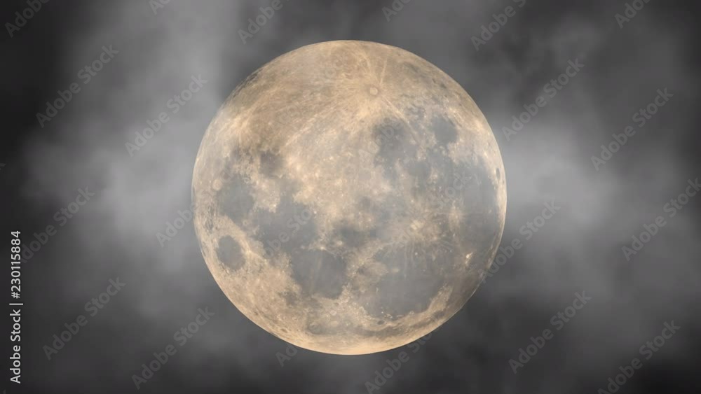 A witch flying on a broom under the moonlight on a foggy Halloween night. A witch flying on a broom under the moonlight on a foggy Halloween night.