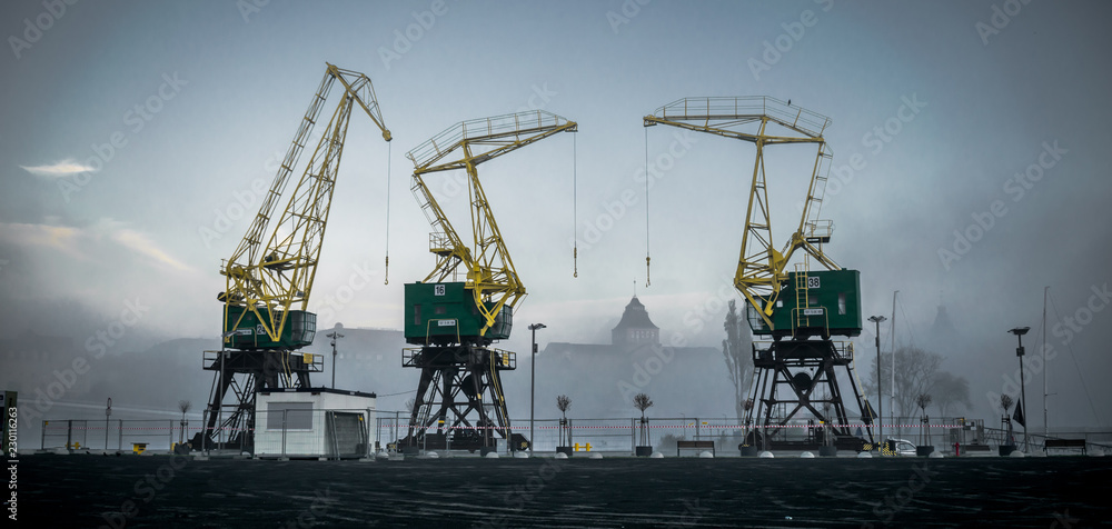 cranes cranes