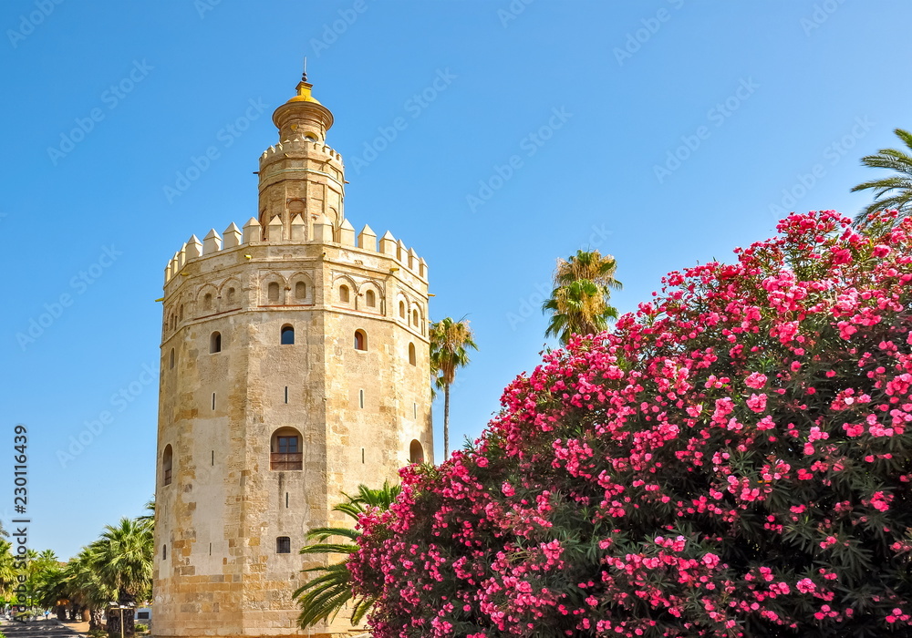 Fototapeta premium Tower of Gold (Torre del Oro), Seville, Spain