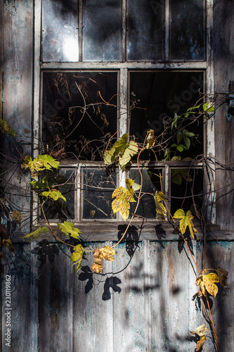 Window in abandoned house photo