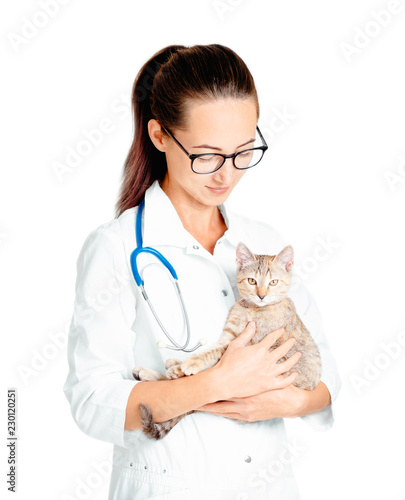 Fototapeta Naklejka Na Ścianę i Meble -  Young woman veterinarian holding a kitten.